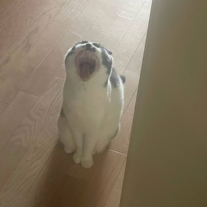 E9679509 0185 425a 870c 3cb96932b057 1737184444210