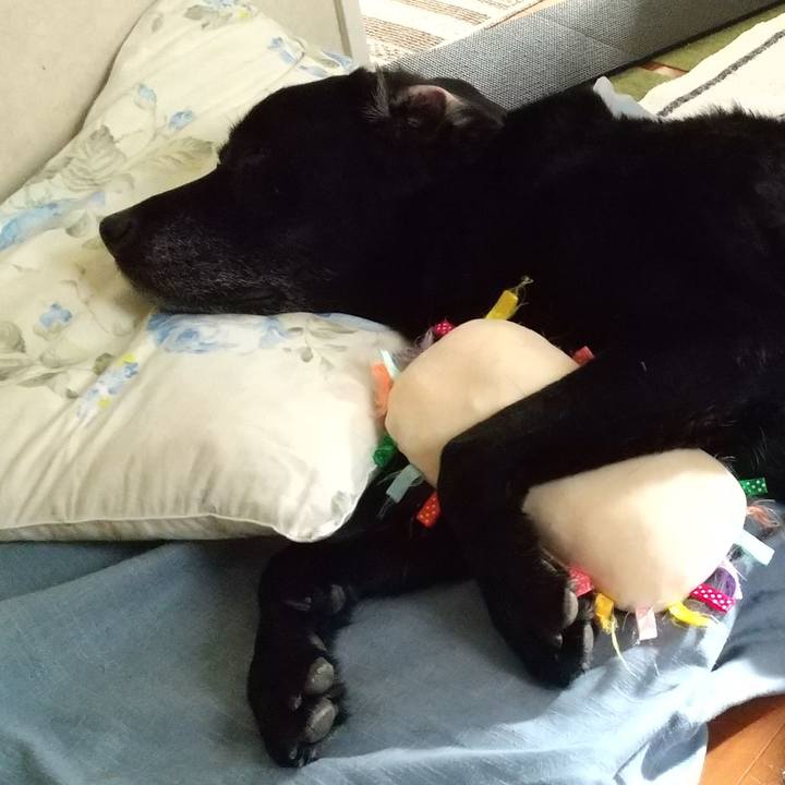 E9679d8c 25aa 4b45 ae3f 98f9caa13c40 1696548558724