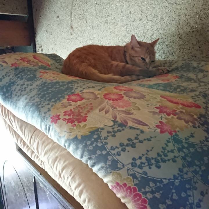 E967c5a0 0d8e 4a91 aeba 4900ccd35191 1592635102914