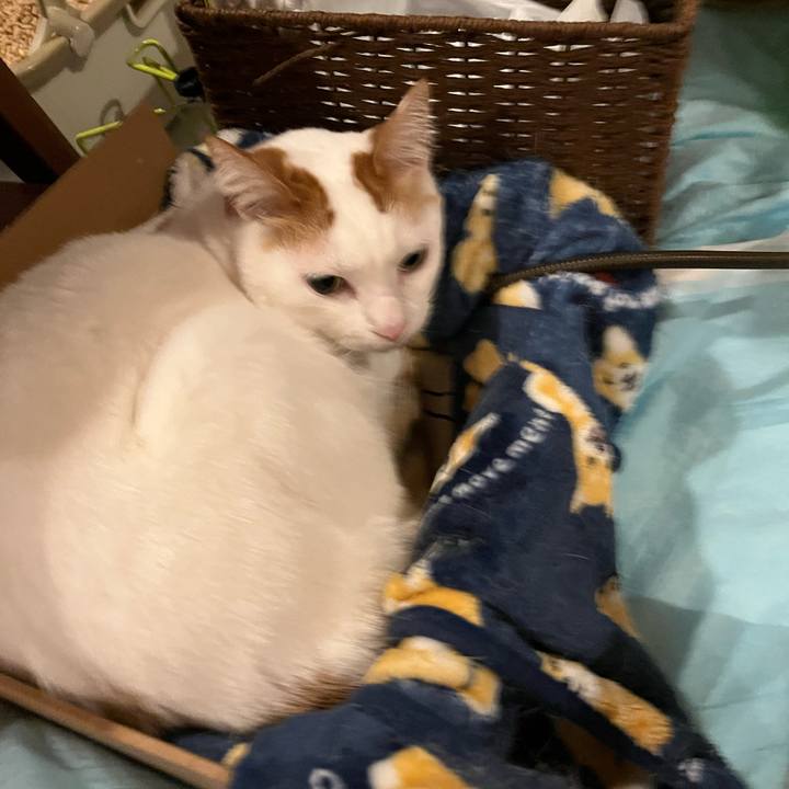 E967d4c4 ca5b 46a1 b05a 1433d3a41d15 1769870148505