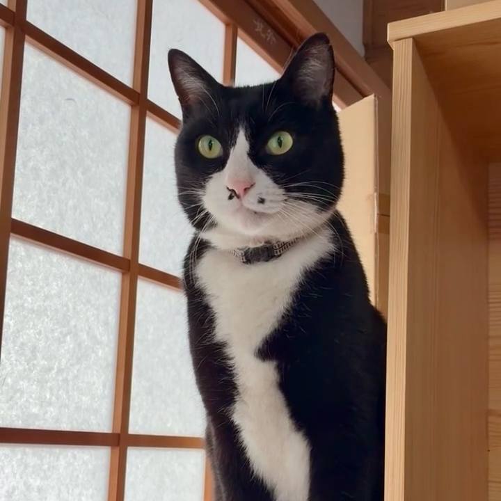 E967efad f8ff 4250 a5b5 89bb48c690a0 1769265906104