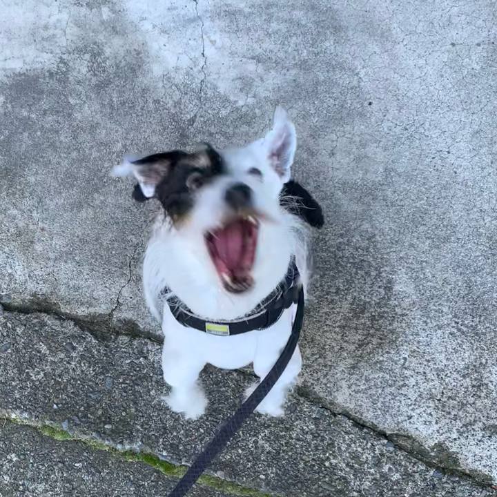 E96811c2 aa3d 4fa3 b3e5 5169dca9df37 1701822088673