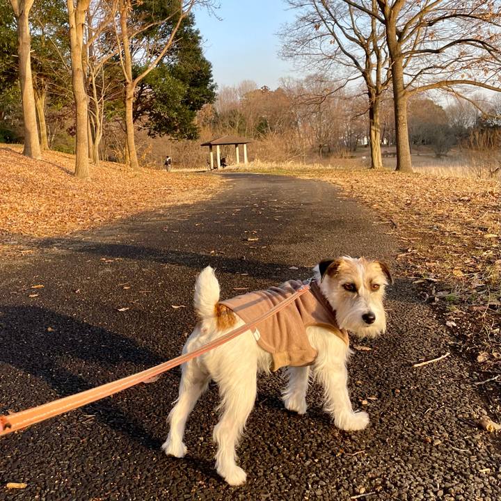 E96823eb 9880 4ddd ac4e b41b0d95a50d 1674550703759