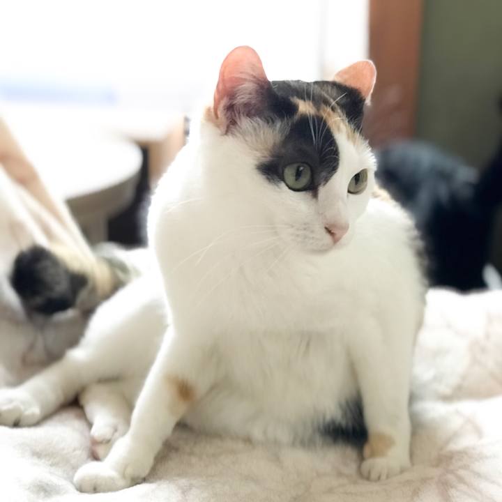 E9685edc 4e9e 4c21 a249 5acd4e7eb2b2 1527415210441