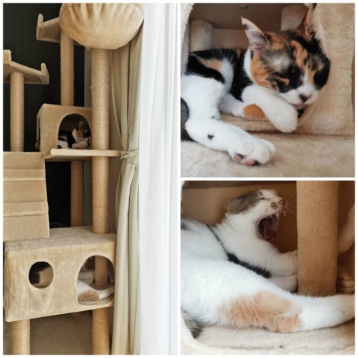 E9686c8f 4869 430a 8cf2 3b99645486a6 1662696193994