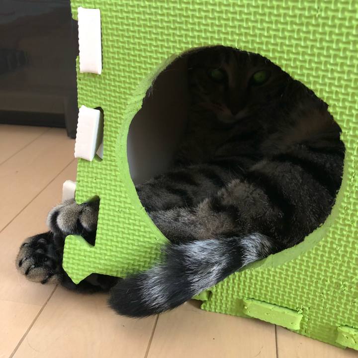 E9688d27 8846 4119 9f65 839efeacf67b 1527301882008