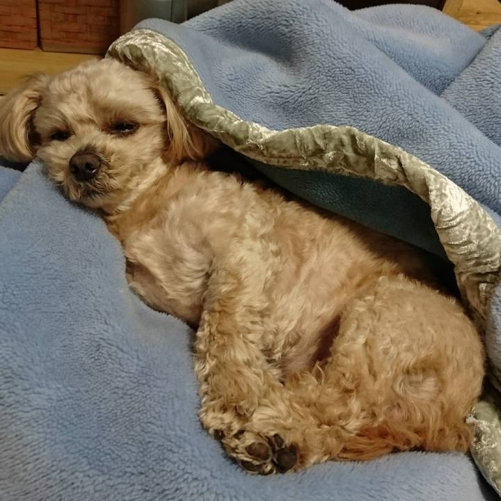 E968a053 fe75 4c0e b795 a7fa540588d8 1587549210087