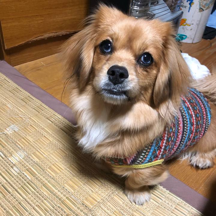 E968b91d f3d2 4abd a404 ae255d5de735 1519250527430