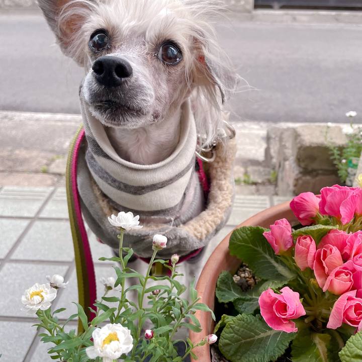 E968c065 0de3 4b35 a137 bde159cab198 1774167579397