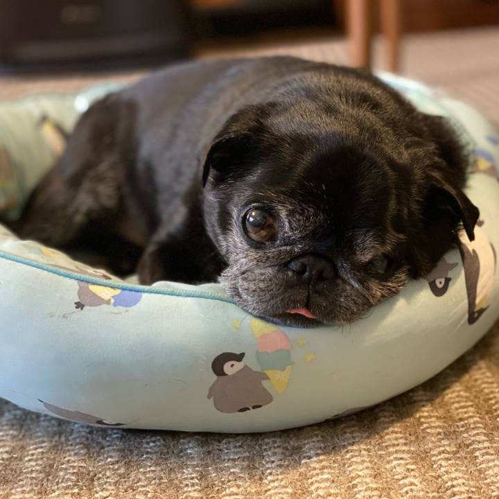 E968c53f 2461 4f32 889b d8265fe927cc 1620356561400