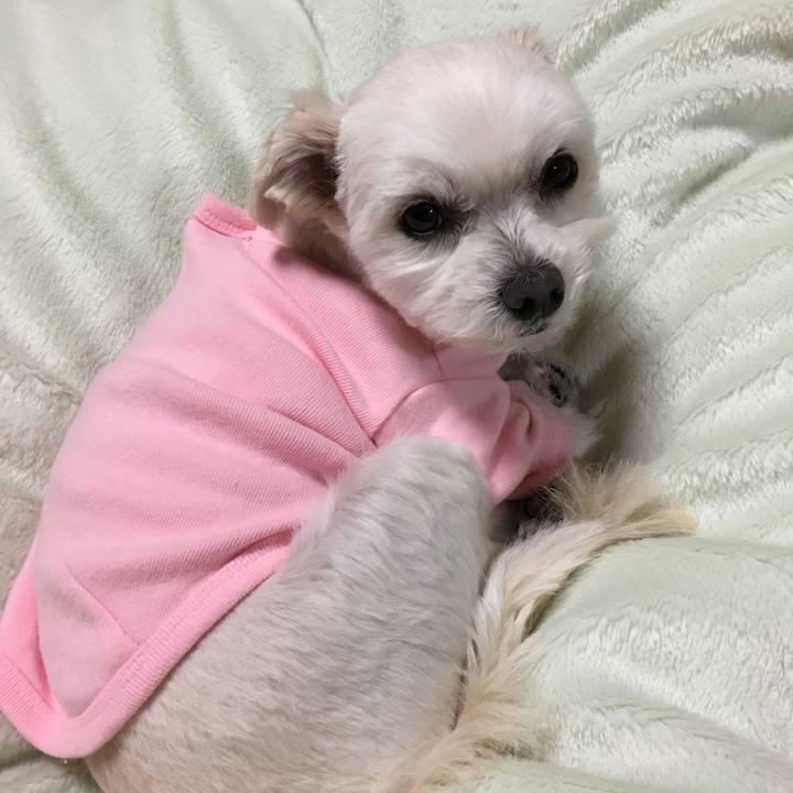 E968e08c d009 4545 ad03 0d3545f29493 1551005592926