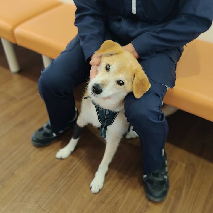 E968e7d8 1b07 49bf b9cf e66b4e7e87d3 1649418491088