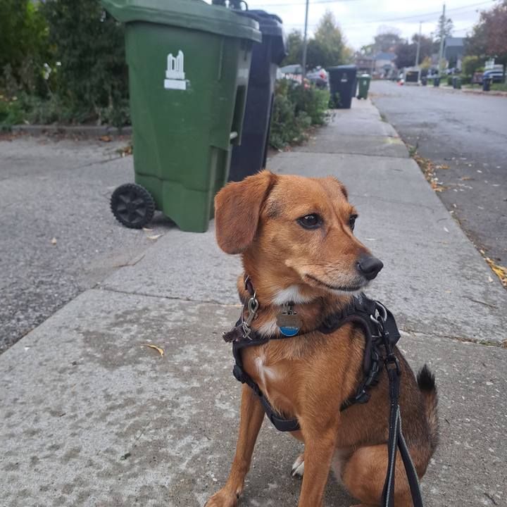 E968fb6c 7cf9 41e4 88ff 6b19b78a2ac4 1761831099377