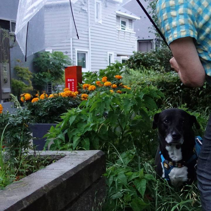 E9694b68 164a 4e67 aac5 e7070d0af476 1720780863339