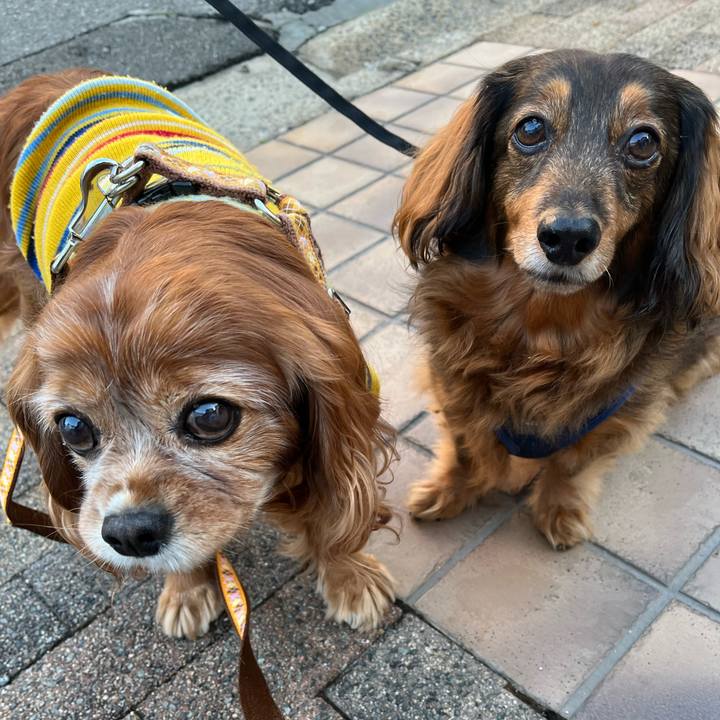 E969c0c9 a434 4291 a9be d2636bf6aaba 1764552753721