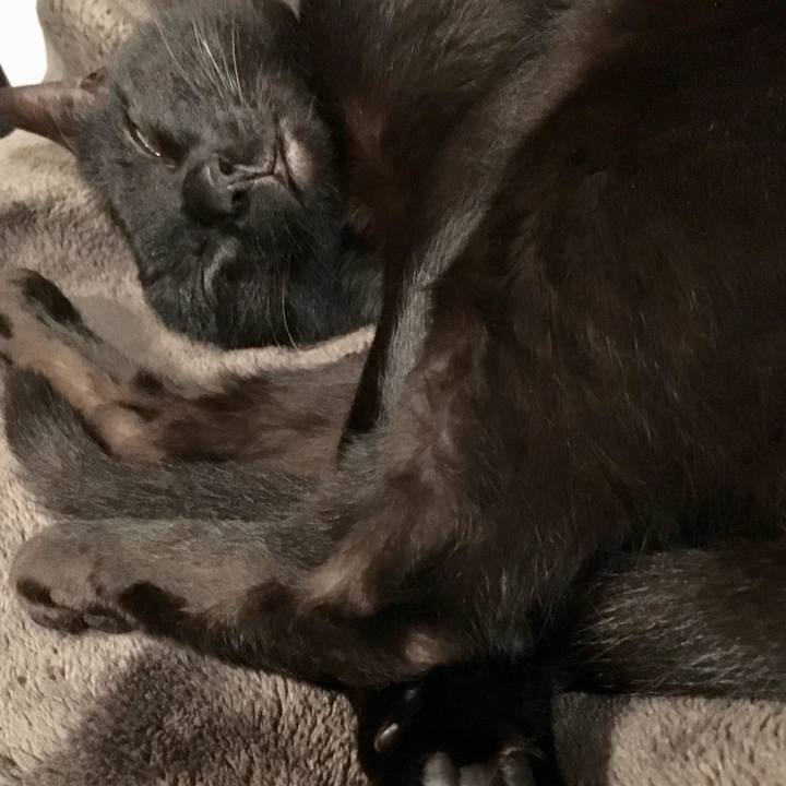 E96a4f27 5c86 4ca5 b07d b2b283317cef 1562681223983