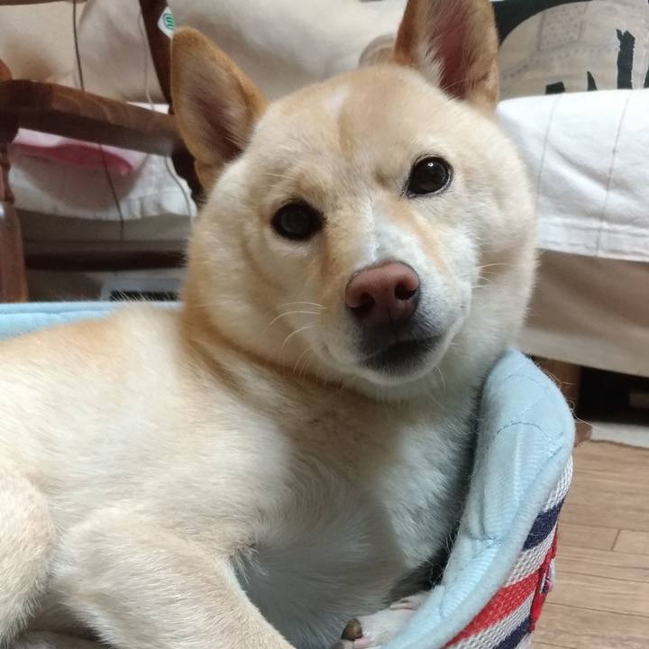 E96a597b b82b 49ce bac7 80dee1ec858a 1570534751675