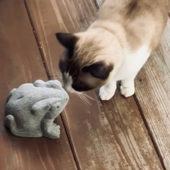 E96a5e51 b4a0 4c55 b62e c5ce21ee5d04 1729848483077