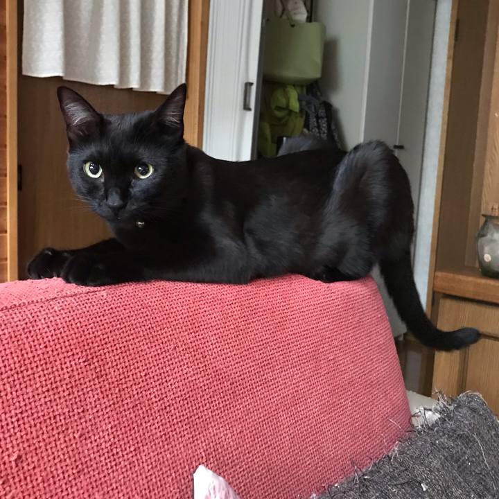 E96a8406 63de 4603 aab2 897258062815 1597004955743