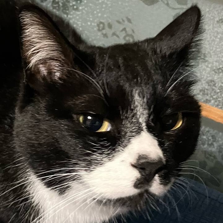 E96a8539 f851 4838 aca2 bd89521f0159 1683950137034