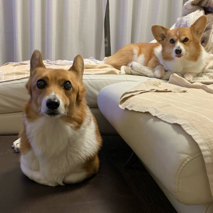 E96ac59b a154 4ae2 ba4c c3d9881a6ef2 1583827090248