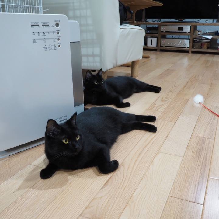 E96acabf 7691 4f93 912d 9061c005ae06 1534375885951