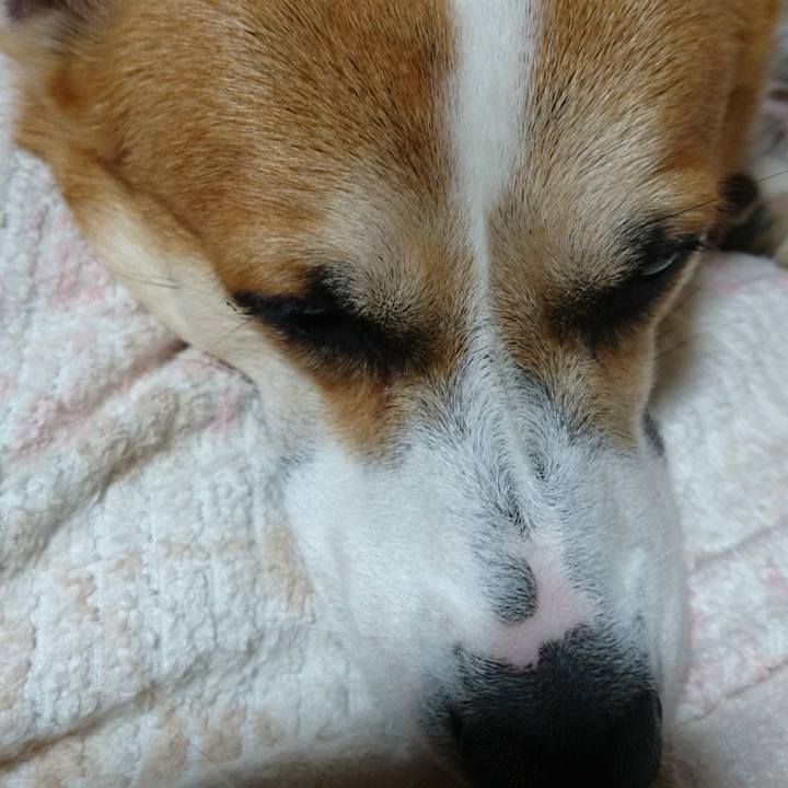 E96accc7 f3c1 4c70 b936 8e9af91e8266 1606135453000