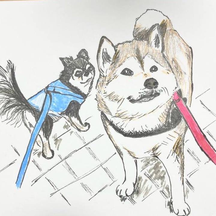 E96ad3ea da04 4118 b461 a25242244c11 1639812189735