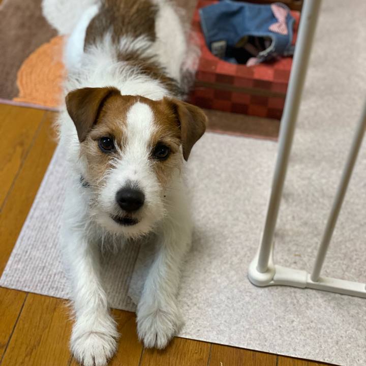 E96afd63 0805 405a b66b fee4e27ef335 1742172270609