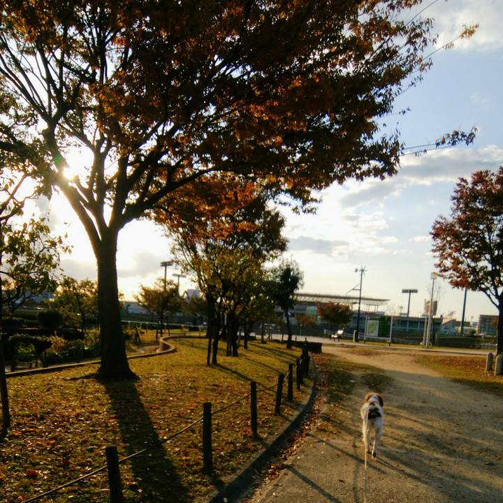 E96b0133 c2d0 44d0 9425 d02c96715cd7 1541493131945