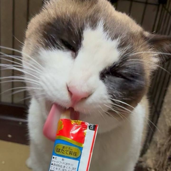 E96b0b6b ecce 4791 b0d6 433e4707e6b9 1771502423846