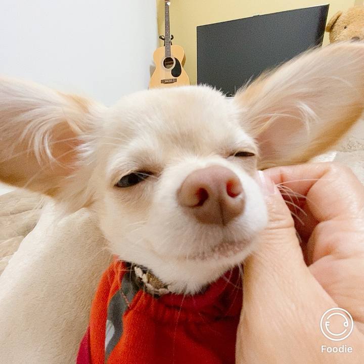 E96b22de 9732 4372 8841 1d05febb6ea2 1605156663350