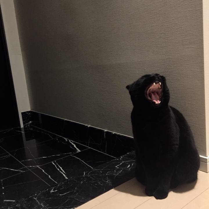 E96b612f 7023 4bb8 a5da 145dbf3b18ef 1522840944317