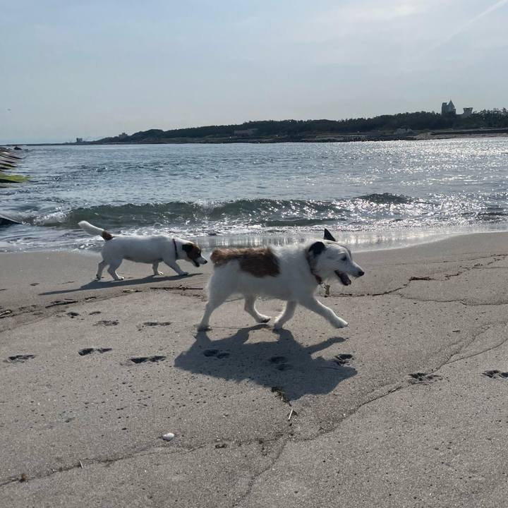 E96b7076 51e7 4843 b295 9374a0d91ad2 1717026728173