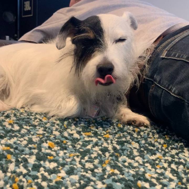 E96b816a 6c68 4f47 9986 491dcd8a5727 1663990121523