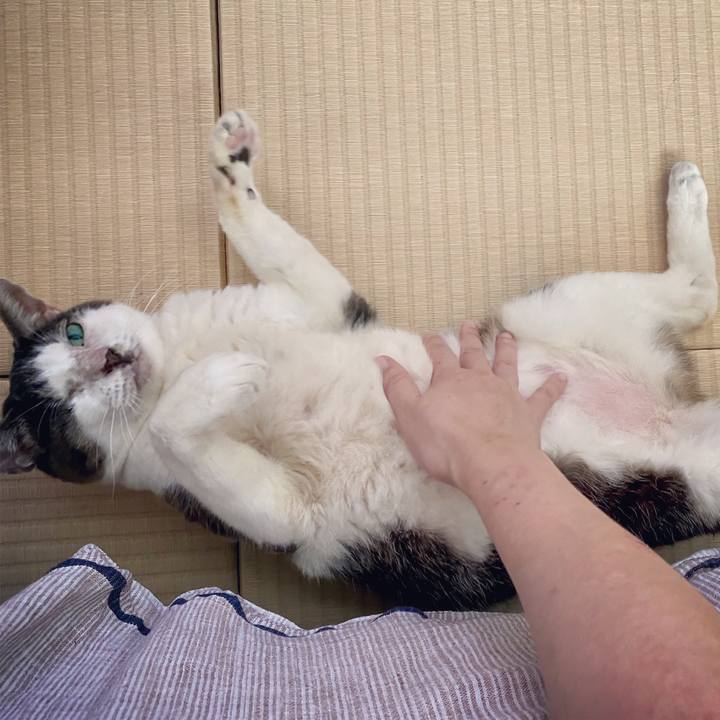 E96bcb19 e276 48ab 9edf e27d4348cb3b 1598172933457