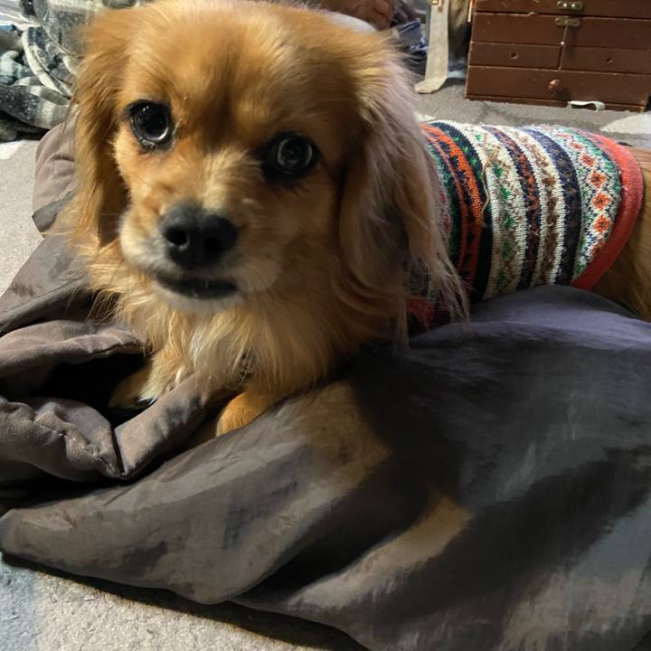 E96bd71f 6dde 4624 9c83 15e2a9ae7744 1577052913533