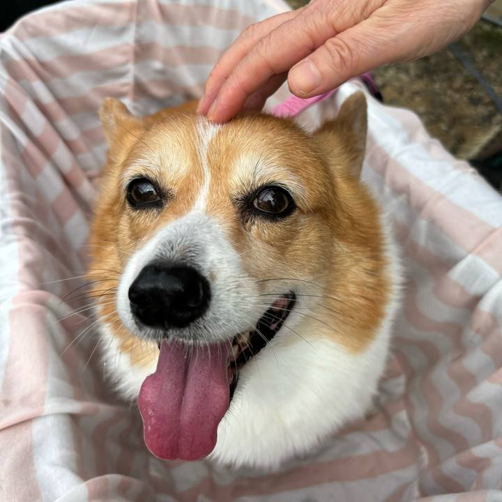 E96bef30 b046 4432 ae41 c503b939ab0e 1727234082459