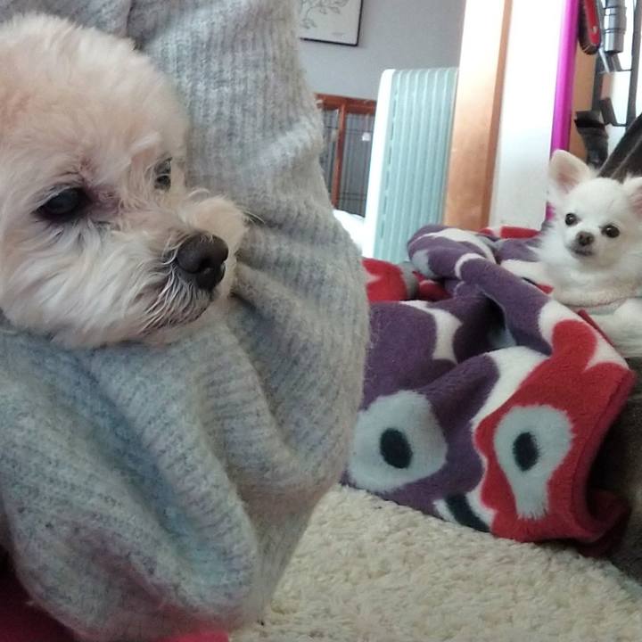 E96bf09e 87bf 4b33 a8fe 6931accfa2ab 1613168314973