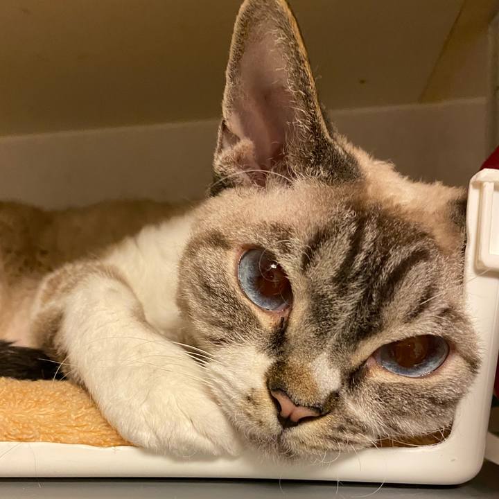 E96c0875 863e 4267 a122 8a5ad6f85370 1615995873462