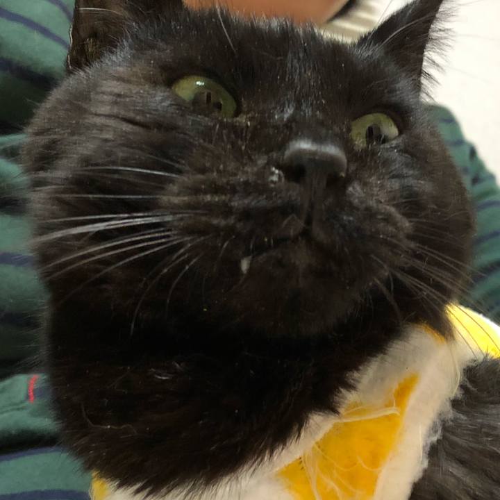 E96c35bb f2df 4af2 aaa2 56c20e6152ce 1556186972326