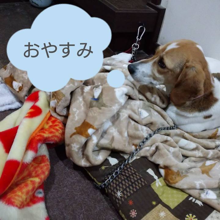 E96c4c4d 87ef 4229 bc52 07e0d6ba8808 1583849279031