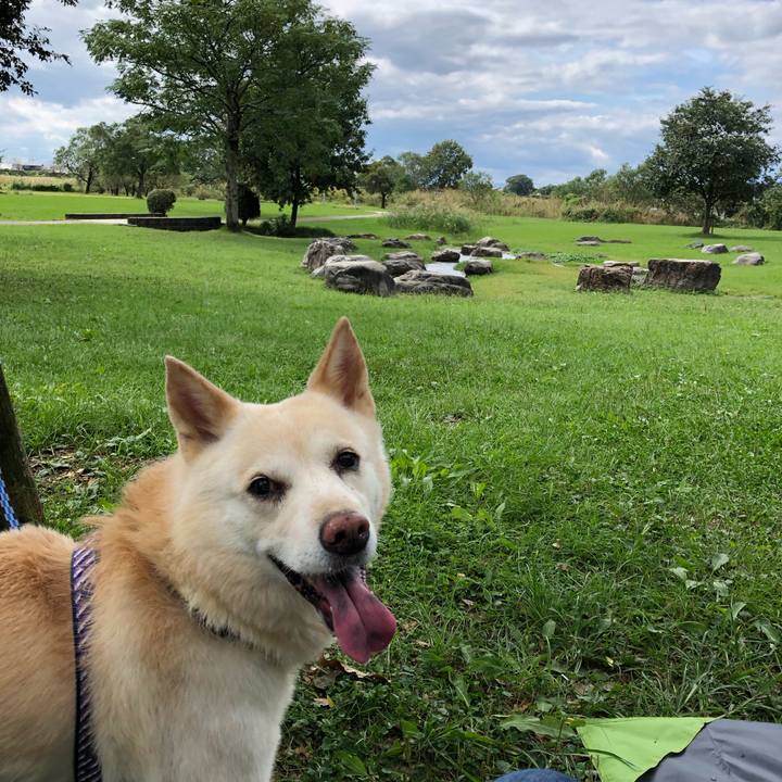 E96c4cbb 3252 47aa a022 95b57630d82d 1570519383694