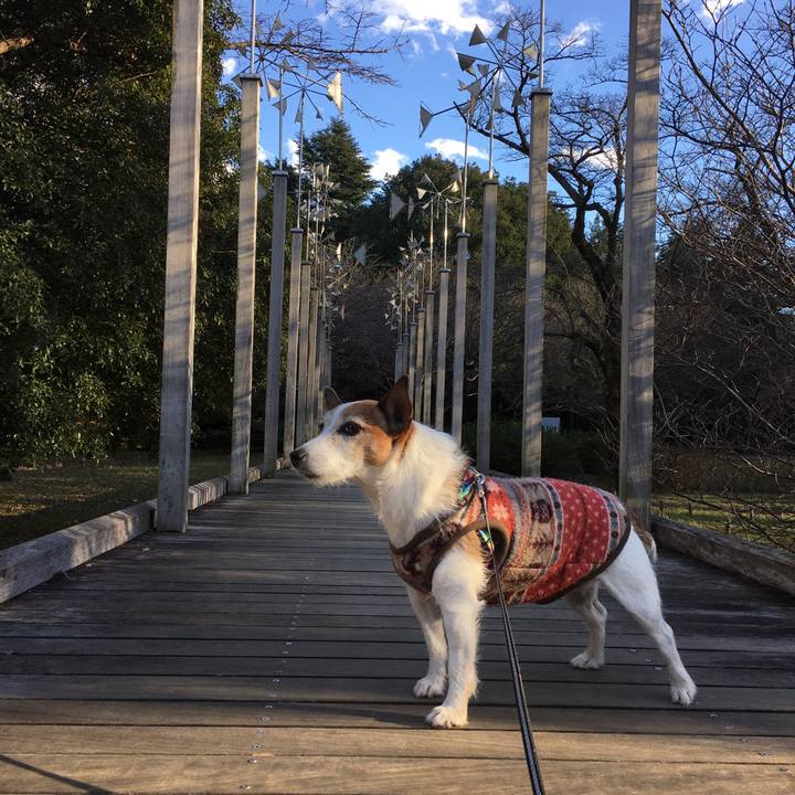 E96c7ace c9c2 4de6 acff 7eebdbe63ba1 1640560963436