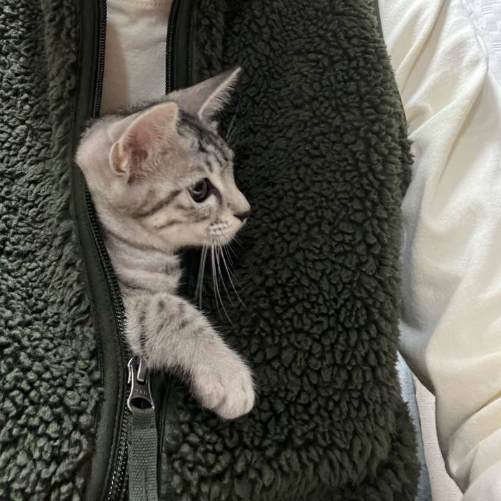 E96c7e40 0243 4216 9d50 e4f0aa6ff888 1698669813947