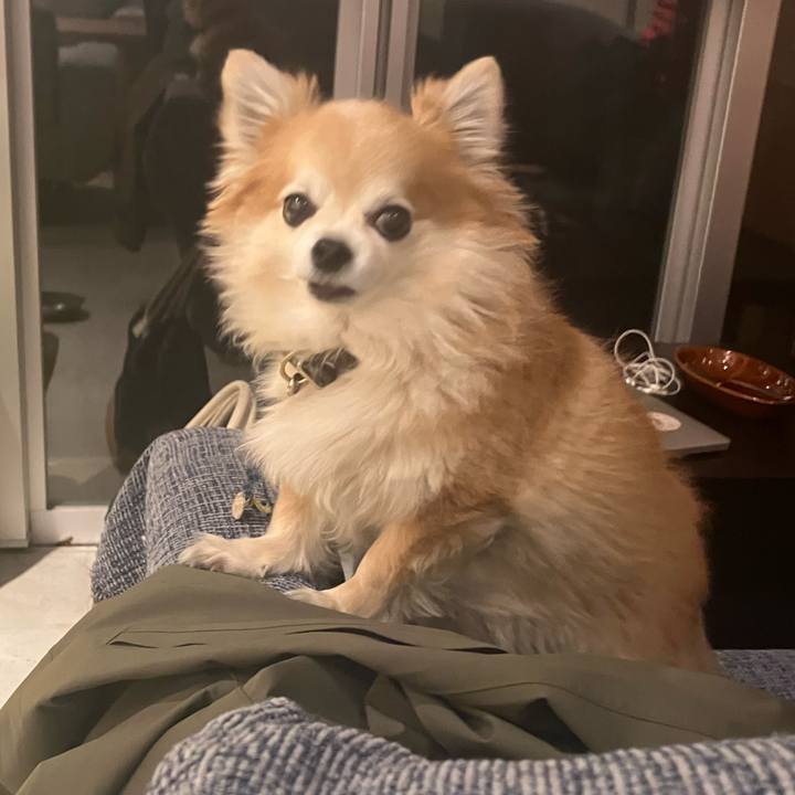 E96c9949 e058 489d 9804 f84ae51392c5 1765369969456