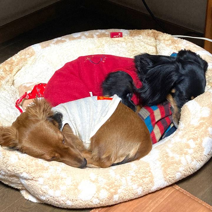 E96cb083 3d56 4ea2 8613 ed7ef4c4c069 1700541385494