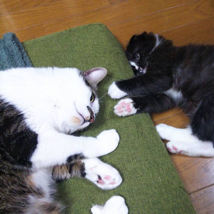 E96ce5cc ed84 4964 bbde ccc5f51e8c78 1639723856783