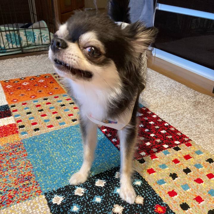 E96cf80e a8fc 4e2c 9562 7f0a1ff89179 1719679181788