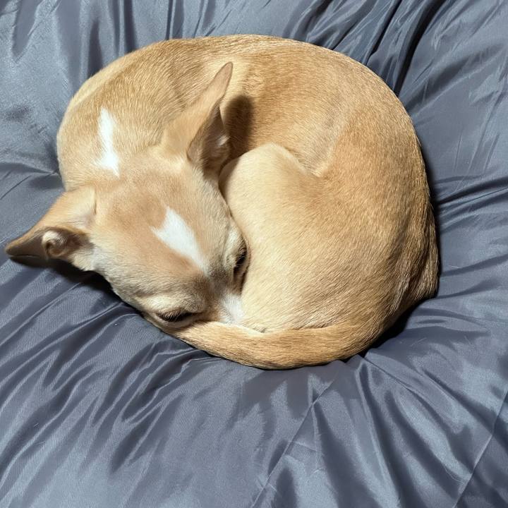 E96d0f26 fb74 4f23 9927 d1b550e9bcd0 1682584367720